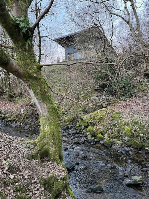 Luxury Lodge In The Treetops Llanbrynmair Eksteriør billede