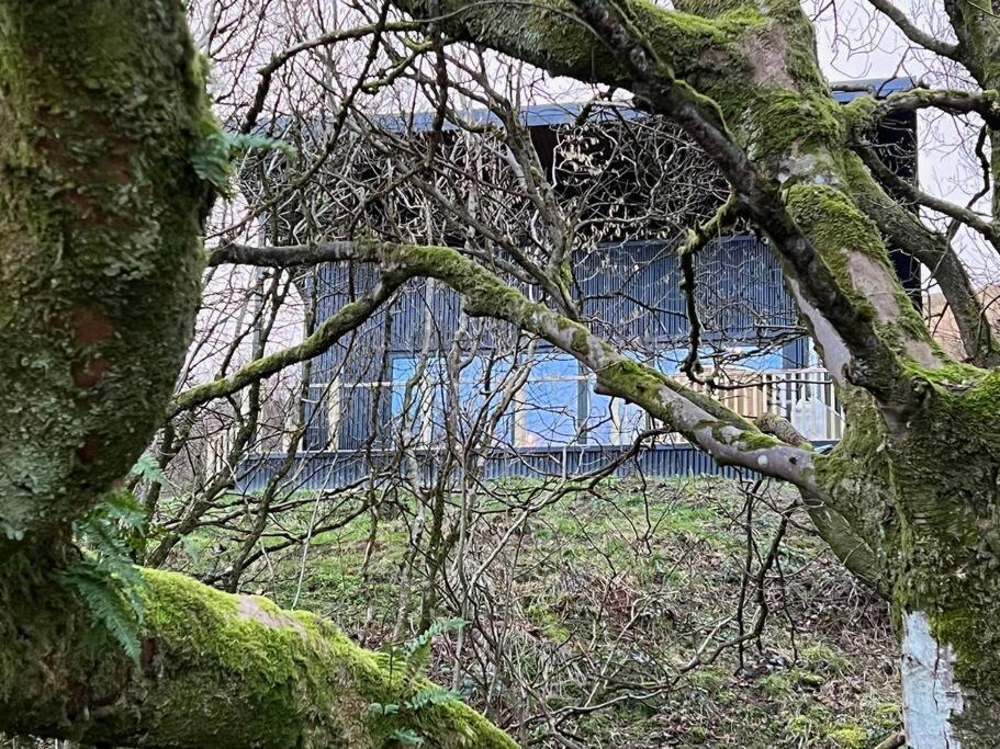 Luxury Lodge In The Treetops Llanbrynmair Eksteriør billede